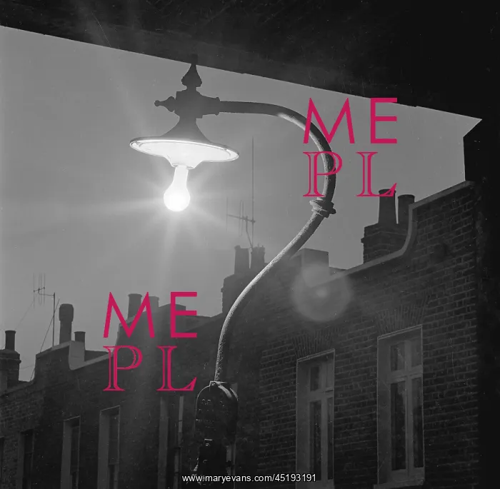 : Street Light : Street Light