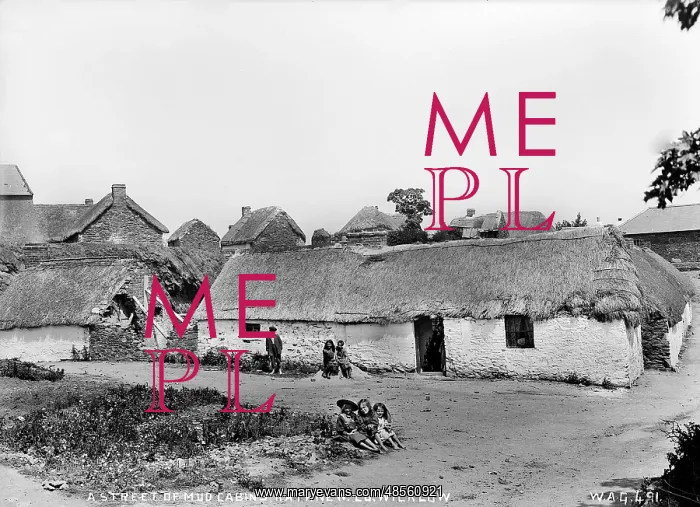 : A Street of Mud Cabins, Rathnew, Co Wicklow : A Street of Mud Cabins, Rathnew, Co Wicklow