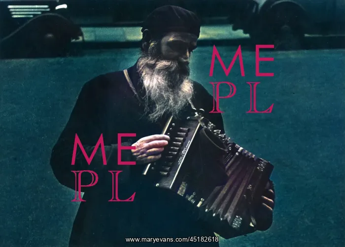 : STREET MUSICIAN : STREET MUSICIAN