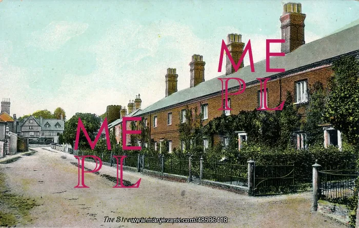 : The Street, Old Catton, Norfolk : The Street, Old Catton, Norfolk