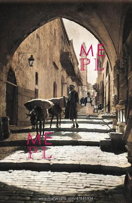 : Street with people and donkeys, Jerusalem : Street with people and donkeys, Jerusalem