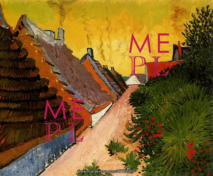 : Street in Saintes-Maries, by Van Gogh : Street in Saintes-Maries, by Van Gogh