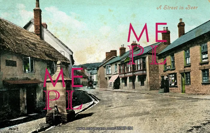 : Street Scene, Beer, Devon : Street Scene, Beer, Devon