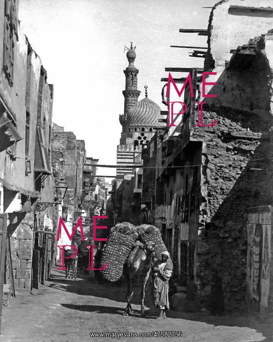 : Street scene, Cairo, Egypt : Street scene, Cairo, Egypt