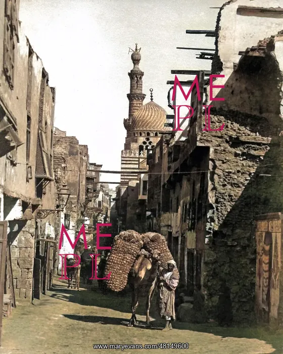 : Street scene, Cairo, Egypt : Street scene, Cairo, Egypt
