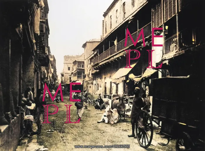 : Street scene in Calcutta, India : Street scene in Calcutta, India