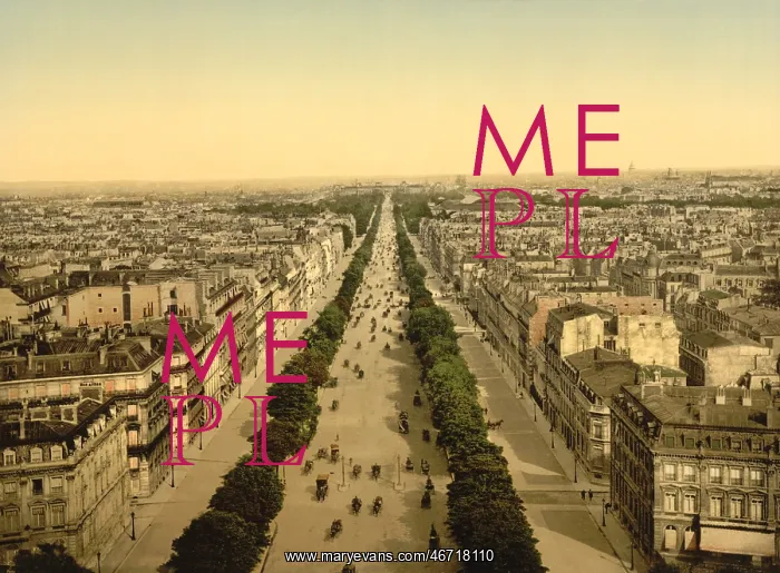 : Street Scene - Champs Elysees - Paris : Street Scene - Champs Elysees - Paris