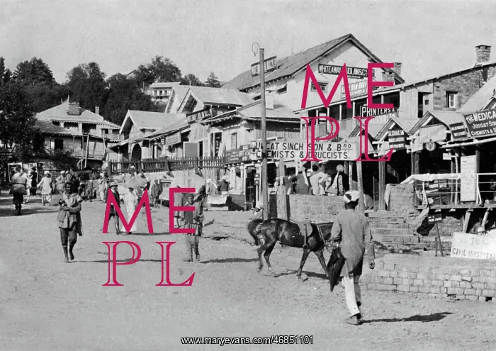 : Street scene in India : Street scene in India