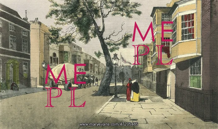 : STREET SCENE / LAMI / 1828 / C : STREET SCENE / LAMI / 1828 / C
