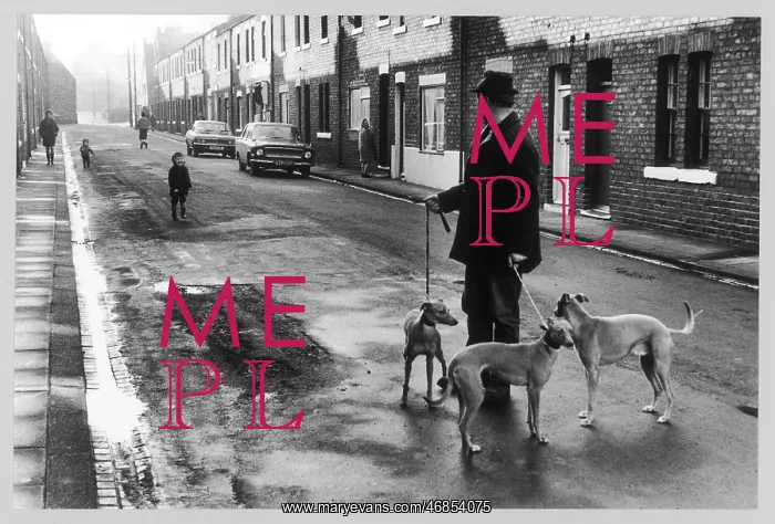 : STREET SCENE / MAYNE / 1972 : STREET SCENE / MAYNE / 1972