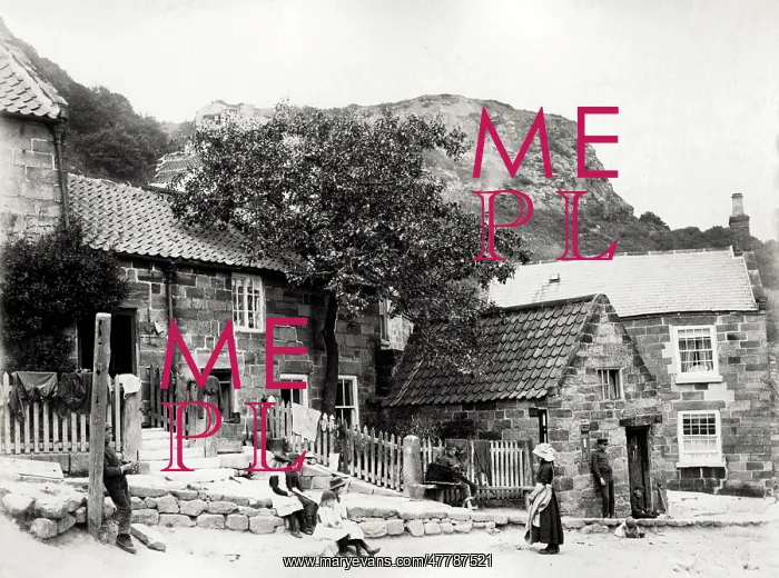  : Street Scene, Runswick Bay, Yorkshire