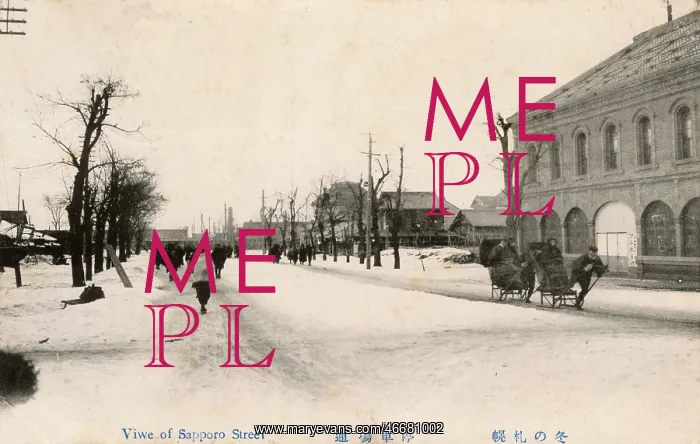 : Street scene in Sapporo, Japan - Winter : Street scene in Sapporo, Japan - Winter