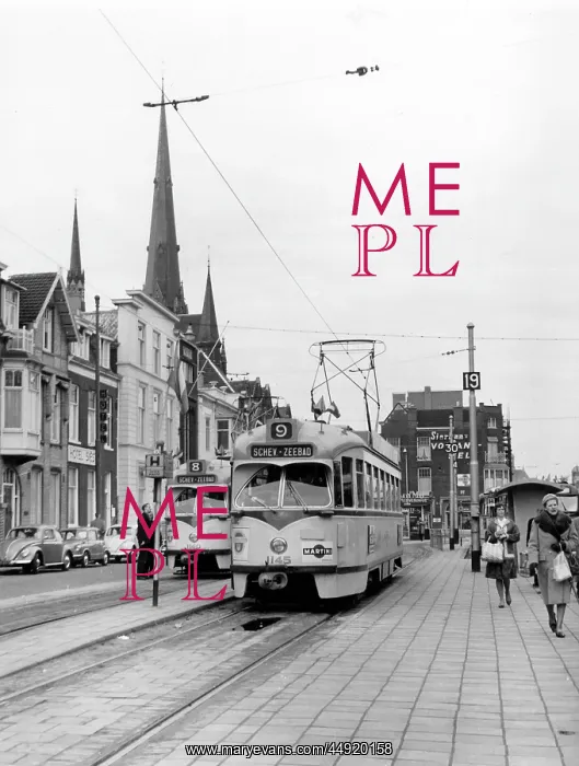 : Street scene with trams, The Hague, Netherlands : Street scene with trams, The Hague, Netherlands