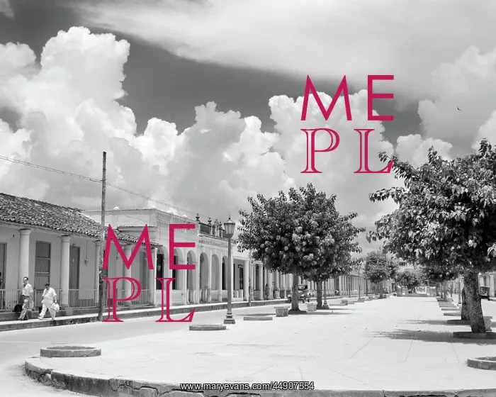 : Street Scene with Trees in the Central Boulevard of Pin : Street Scene with Trees in the Central Boulevard of Pin