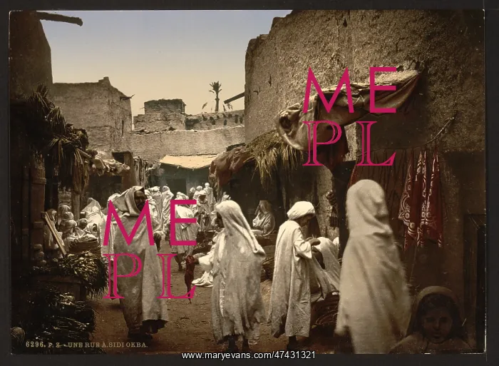  : A street, Sidi Okba, Algeria