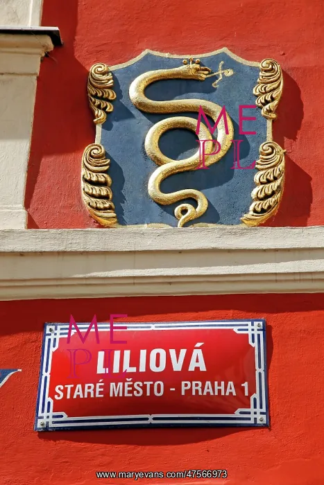 : Street sign and snake in Prague : Street sign and snake in Prague