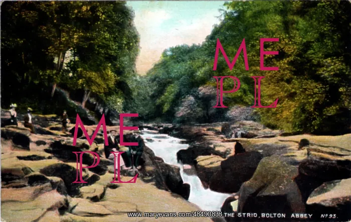 : The Strid, Bolton Abbey, Yorkshire : The Strid, Bolton Abbey, Yorkshire