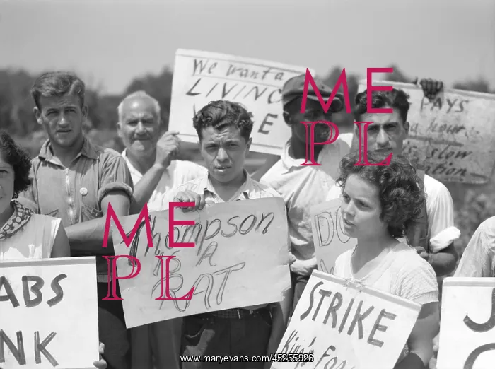 : Striking farm workers picketing the King Farm : Striking farm workers picketing the King Farm