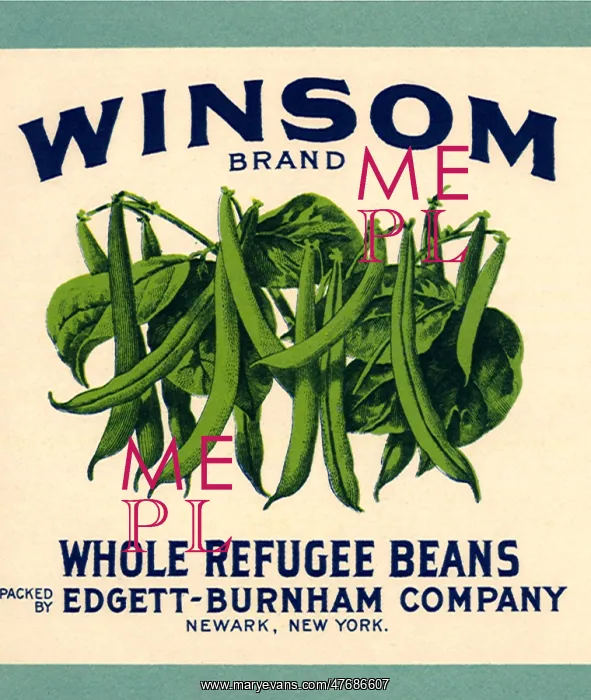  : String Bean Label