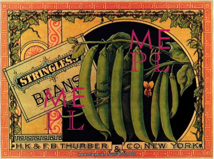  : String Bean Label