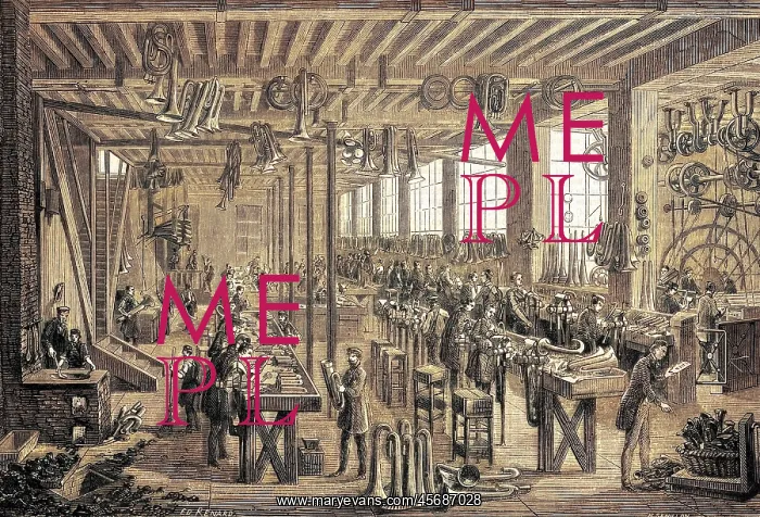 : String and wind instrument manufacture, 1855 : String and wind instrument manufacture, 1855