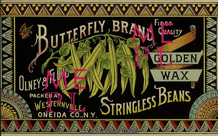  : Stringless Beans Label