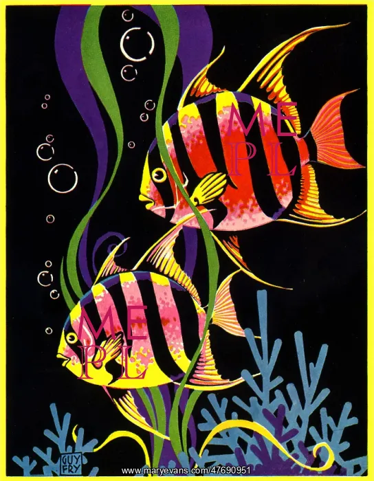  : Striped Fish