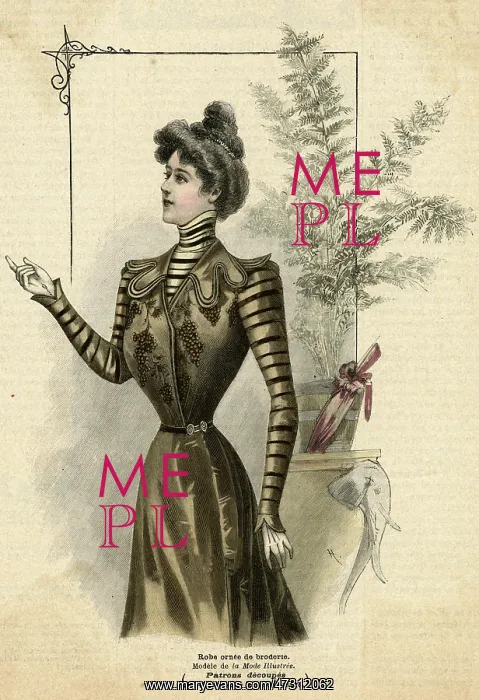 : Stripey Sleeves 1899 : Stripey Sleeves 1899