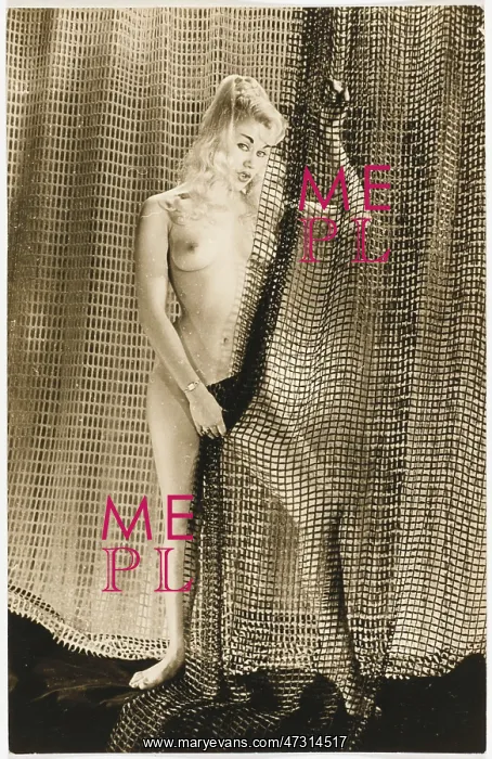  : STRIPPER AND MESH