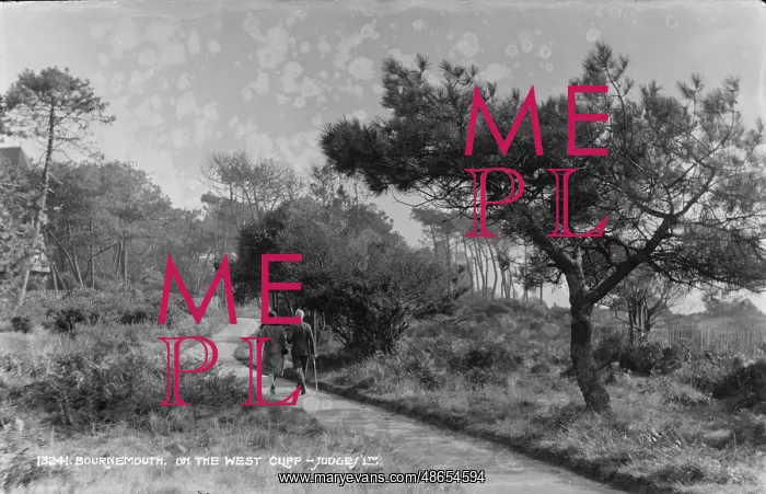 : Stroll on the West Cliff : Stroll on the West Cliff
