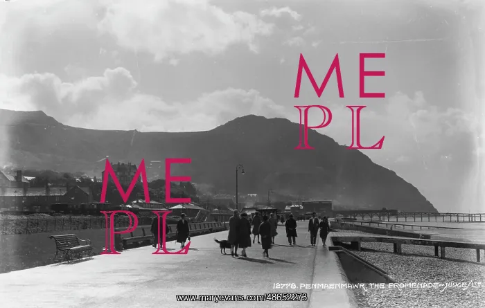 : Strolling Along the Promenade : Strolling Along the Promenade
