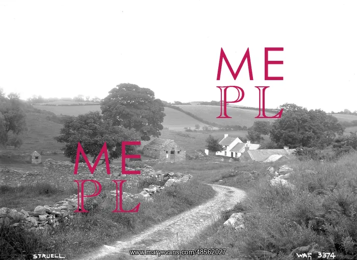 : Struell - a panoramic view down a road towards the Holy Wells and other buildings : Struell - a panoramic view down a road towards the Holy Wells and other buildings