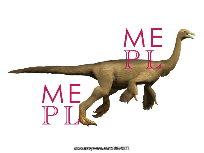 : Struthiomimus dinosaur : Struthiomimus dinosaur
