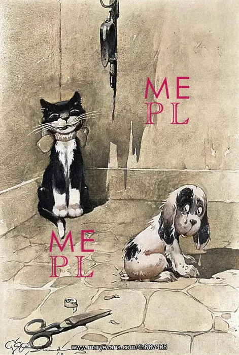 : Studdy's Dog Studies: Brevity is the soul of wit by G. E. St : Studdy's Dog Studies: Brevity is the soul of wit by G. E. St