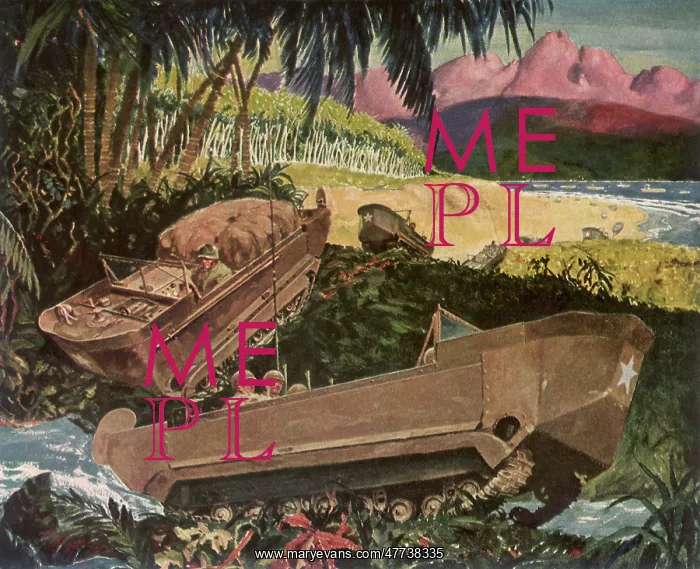 : Studebaker Weasels on Pacific Island : Studebaker Weasels on Pacific Island