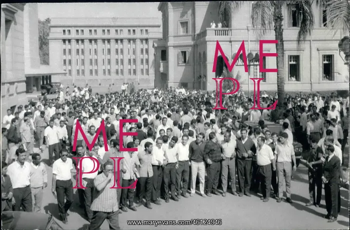 : Students at Cairo University demonstrate on campus : Students at Cairo University demonstrate on campus
