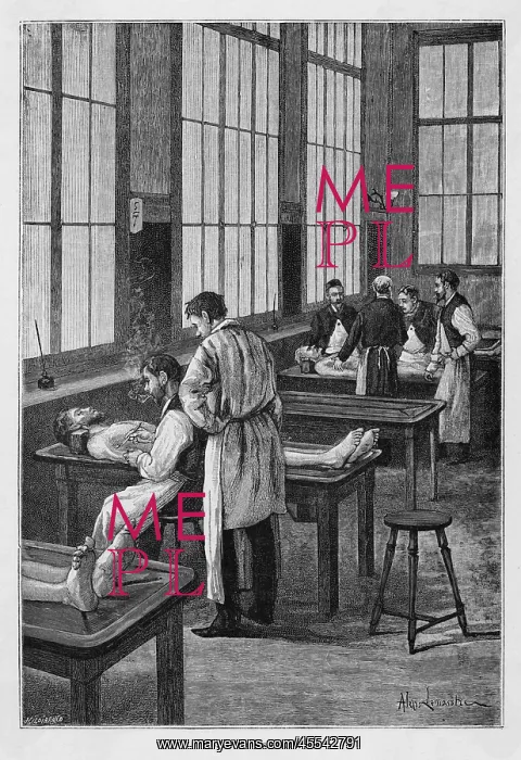  : Students Dissecting