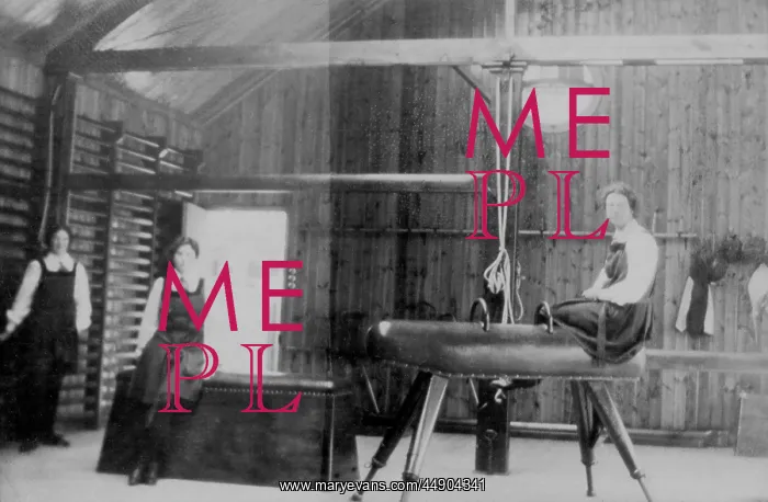 : Students in gym with horse, box and ropes : Students in gym with horse, box and ropes