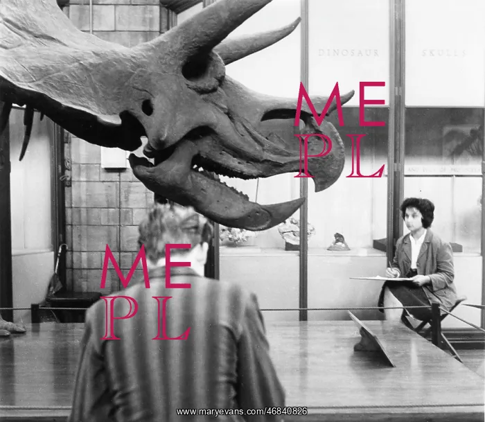 : Two students sketching dinosaur skeleton : Two students sketching dinosaur skeleton