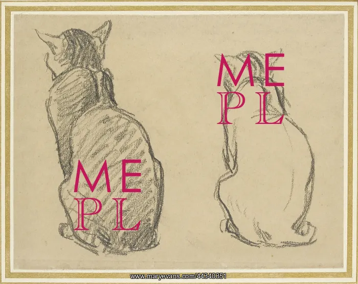 : Two Studies of a Cat : Two Studies of a Cat