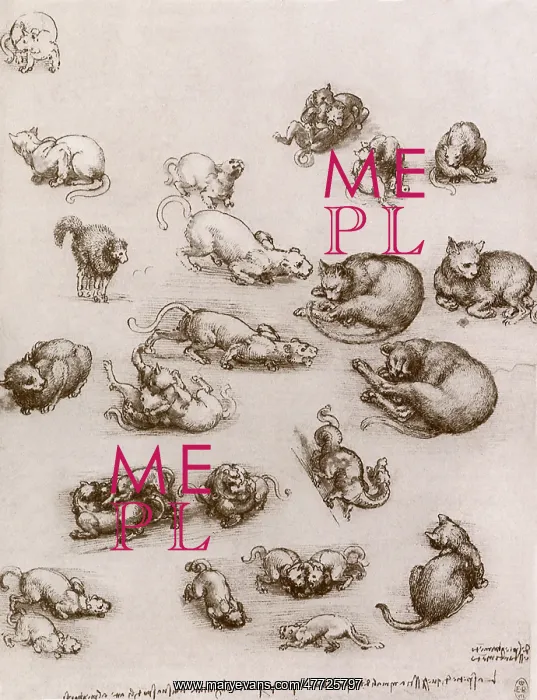 : Studies of Cats and a Dragon, by Leonardo da Vinci : Studies of Cats and a Dragon, by Leonardo da Vinci