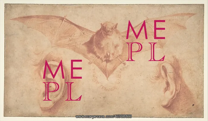: Studies of Two Ears and of a Bat. Below, the motto: : Studies of Two Ears and of a Bat. Below, the motto: