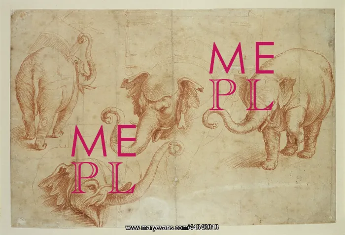: Four Studies of an Elephant : Four Studies of an Elephant