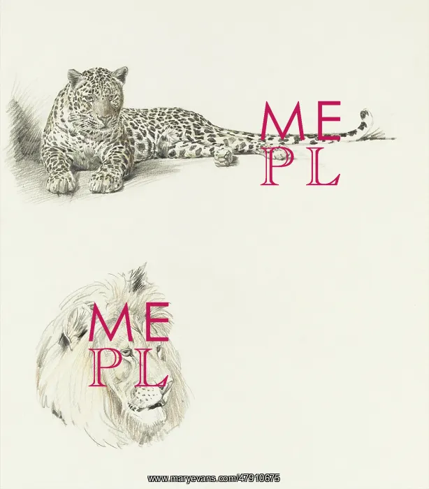  : Studies of a Leopard and a Lion