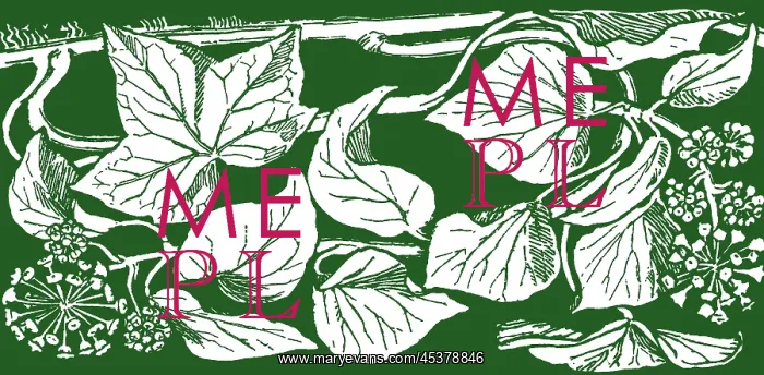 : Ivy. Studies in plant form with suggestions for their application to design : Ivy. Studies in plant form with suggestions for their application to design