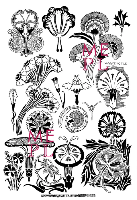 : Pinks. Studies in plant form with suggestions for their application to design : Pinks. Studies in plant form with suggestions for their application to design