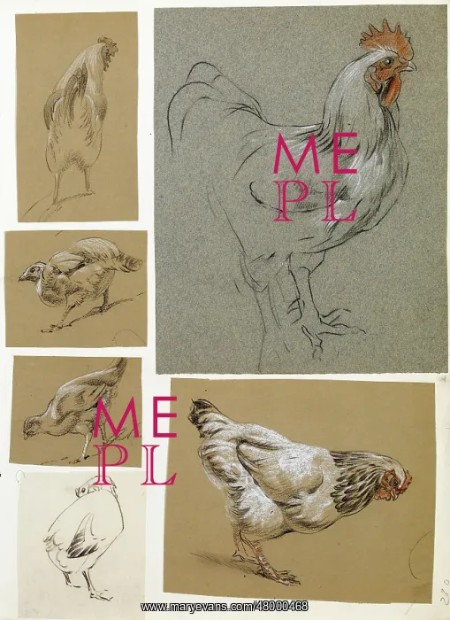  : Six studies of poultry
