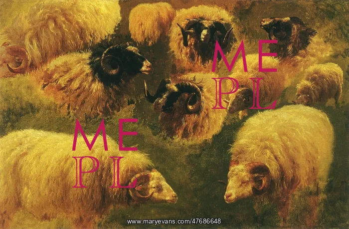  : Studies of Ram