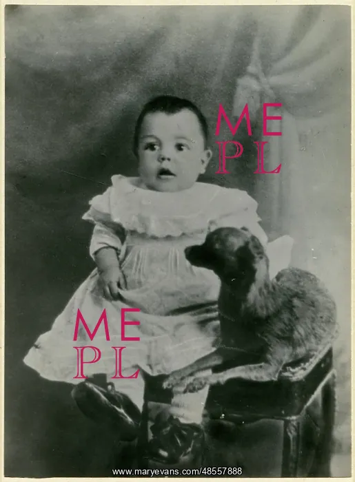  : Studio photo, baby and pet dog