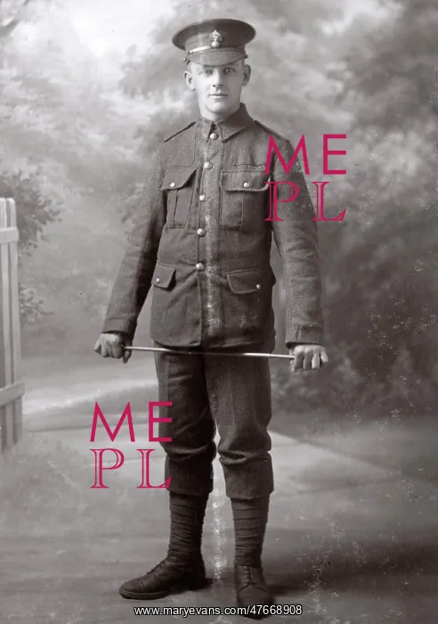 : Studio photo, young man in UOTC uniform, WW1 : Studio photo, young man in UOTC uniform, WW1
